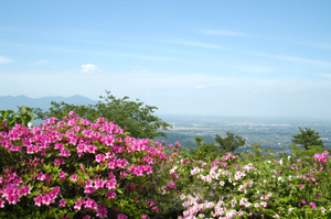 横尾岳公園の4月頃の風景