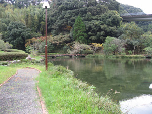 玉泉寺児童公園