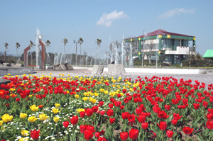 霧島ヶ丘公園 霧島ヶ丘公園