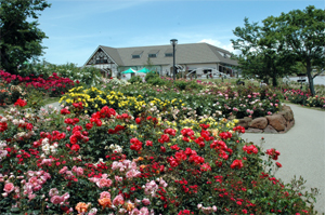 かのやばら園 かのやばら園